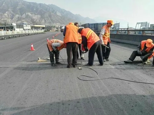 灵寿道路桥梁病害治理